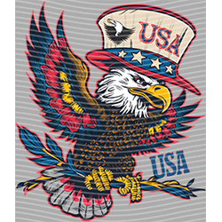 USA-MG 3676